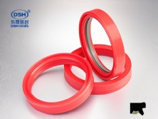 异型同轴密封件DTDI